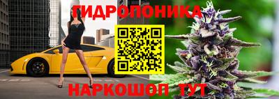 гашик Бузулук