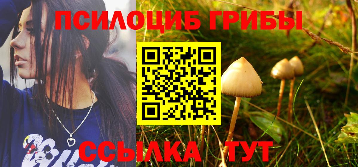 Галлюциногенные грибы мицелий Мирный