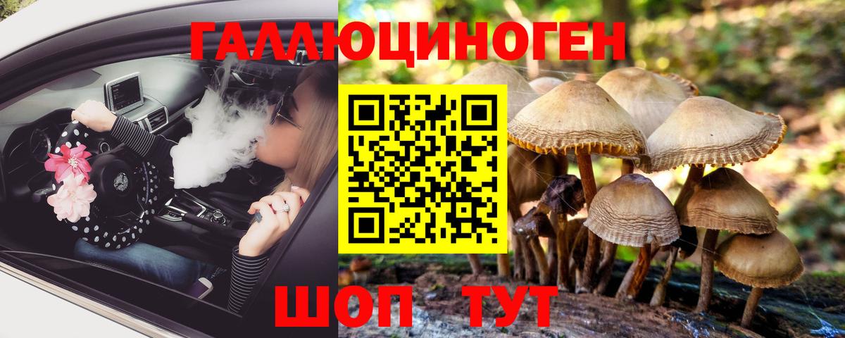 Мирный  Галлюциногенные грибы Psilocybine cubensis  где продают наркотики  Вход с VPN 